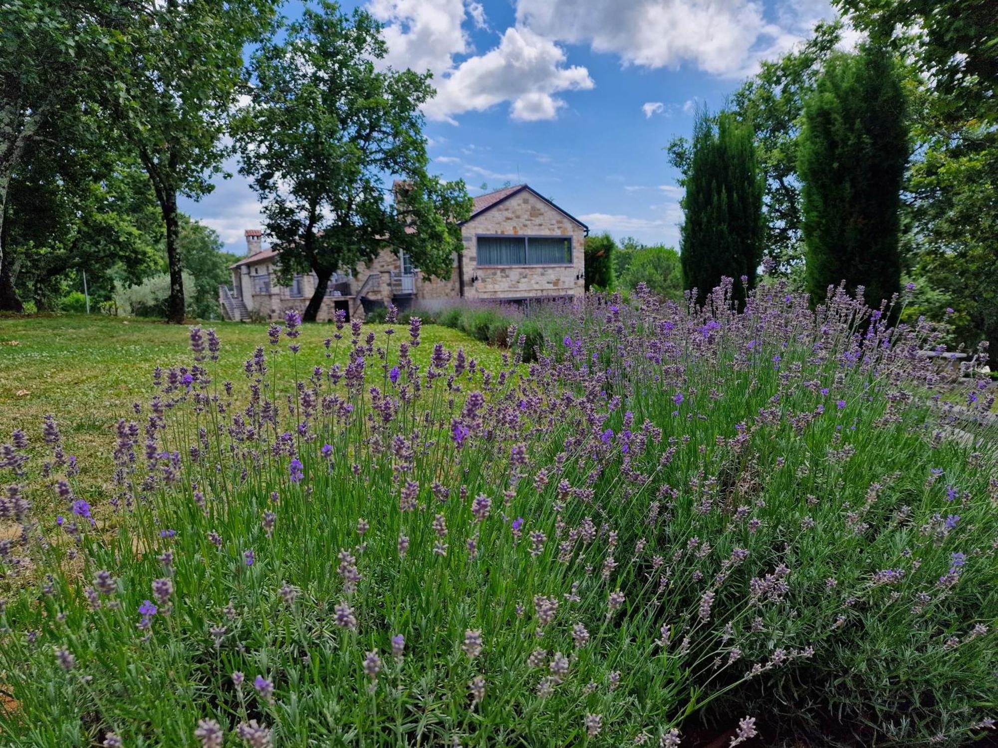 Stancija Ruseti Bed & Breakfast Oprtalj Exterior photo