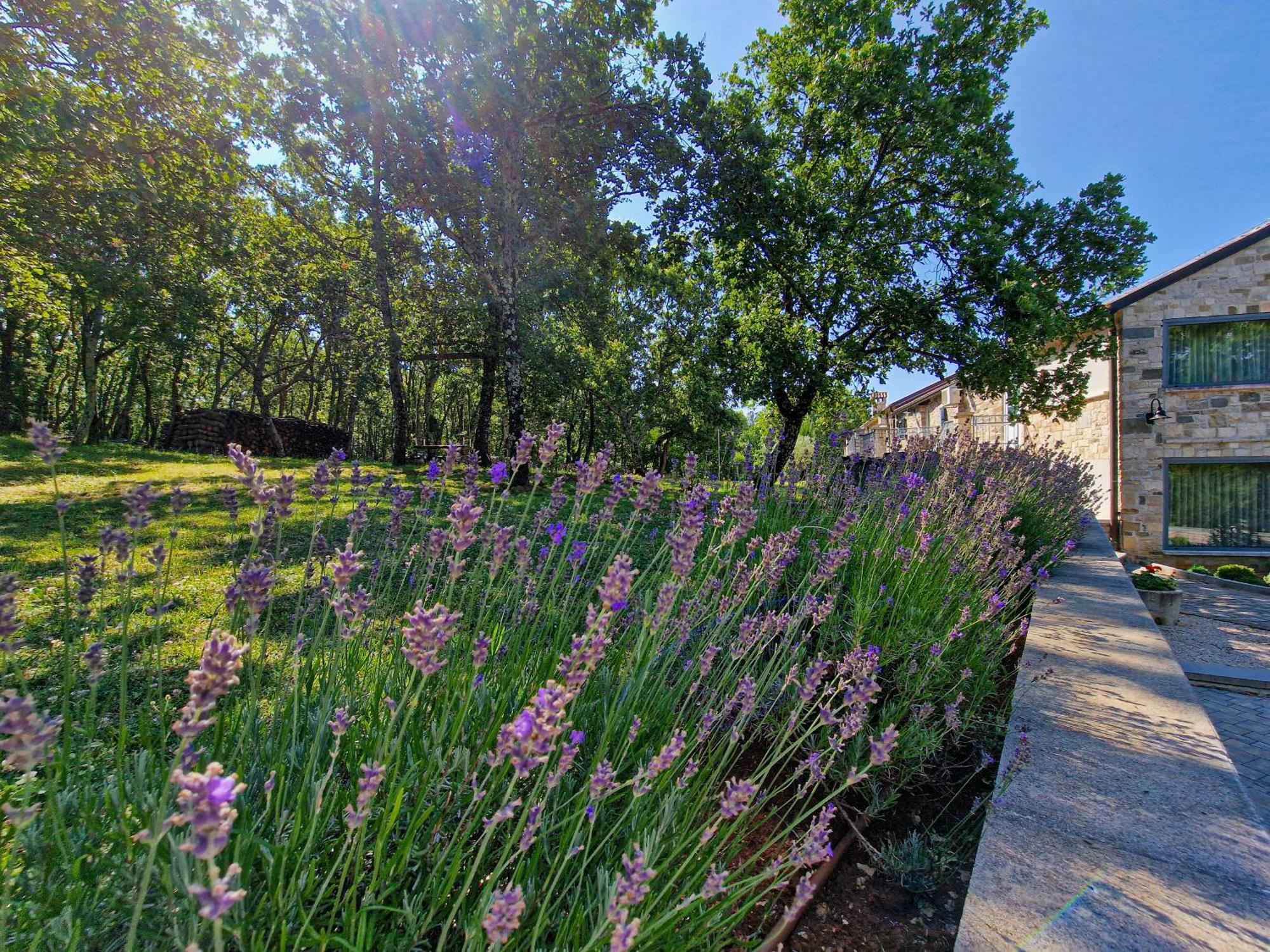 Stancija Ruseti Bed & Breakfast Oprtalj Exterior photo