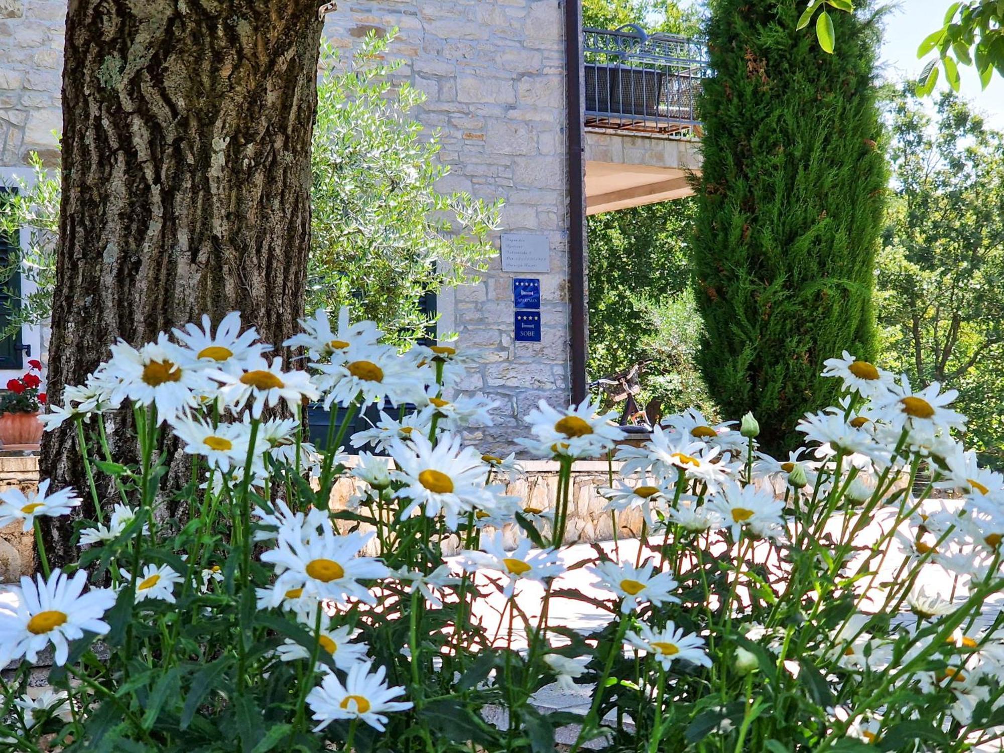 Stancija Ruseti Bed & Breakfast Oprtalj Exterior photo