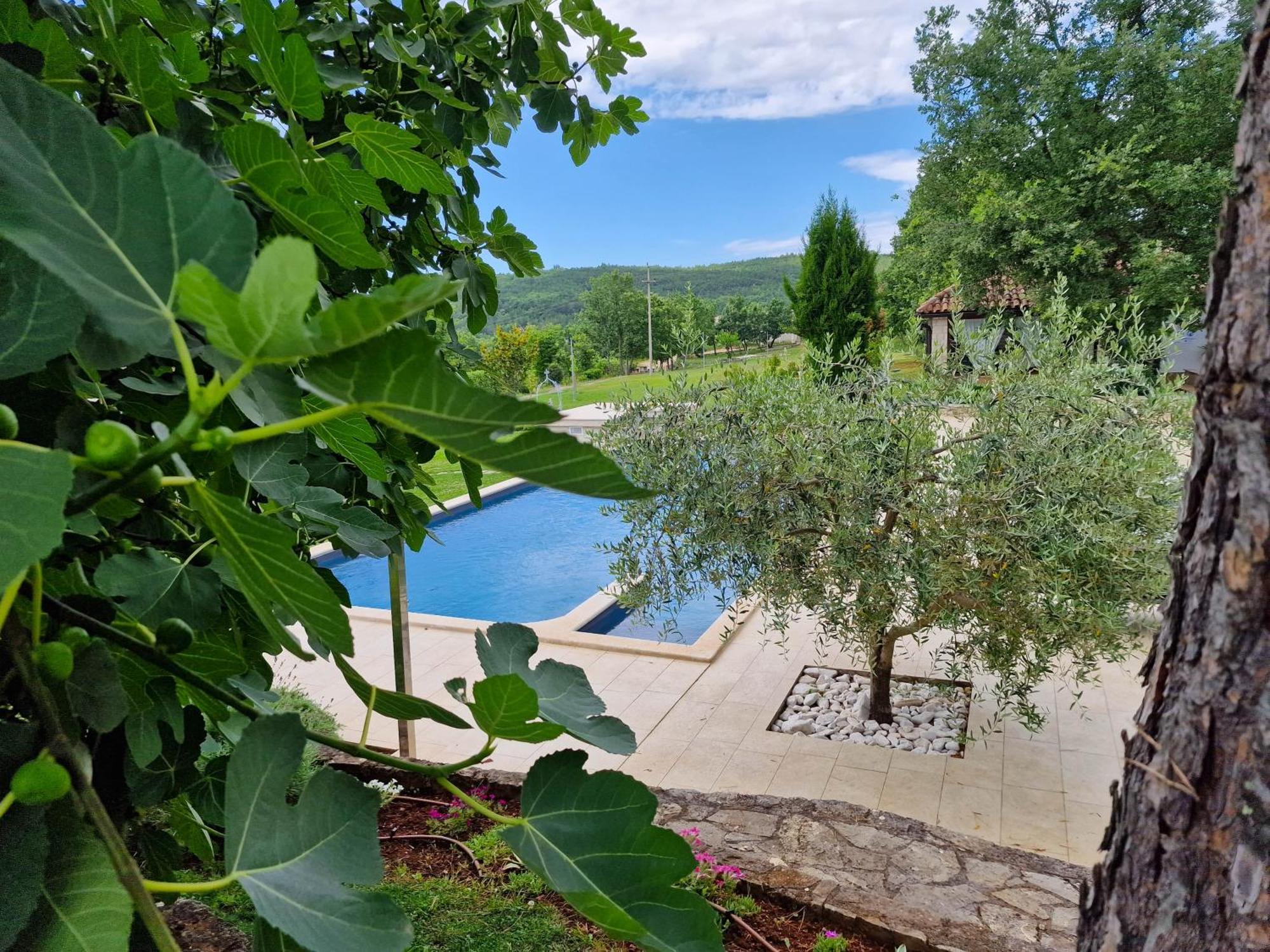 Stancija Ruseti Bed & Breakfast Oprtalj Exterior photo